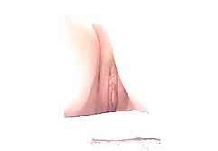 OnlyFans, Sasha Strokes Video, xvídeos pornô de mulher grávida Part 8